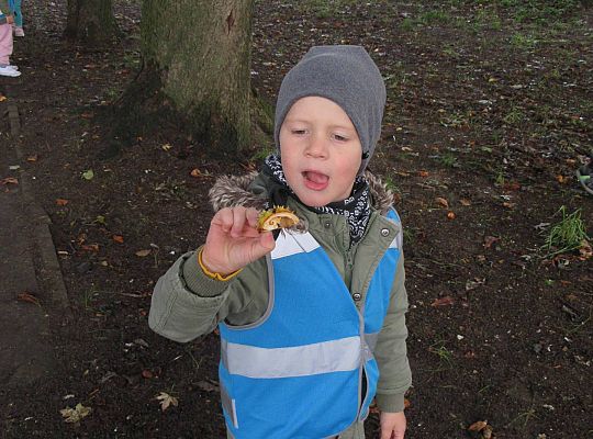 Gr II Jesienny spacer do parku