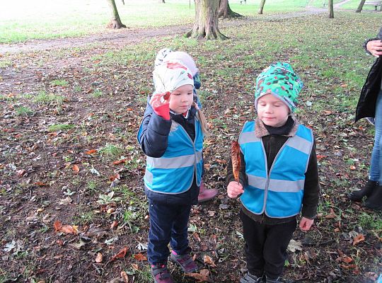 Gr II Jesienny spacer do parku