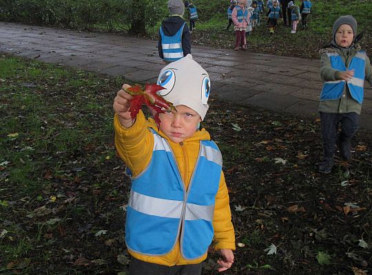 Gr II Jesienny spacer do parku