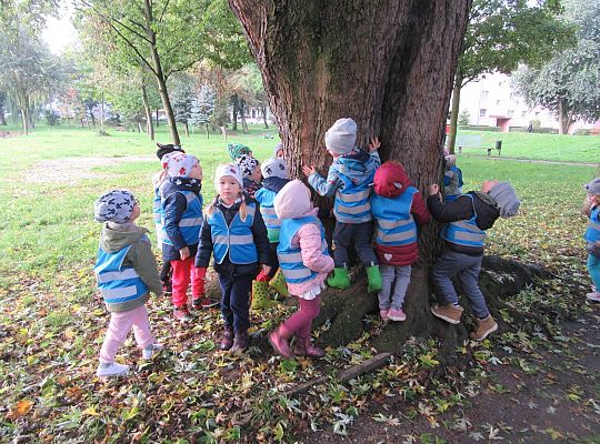 Gr II Jesienny spacer do parku