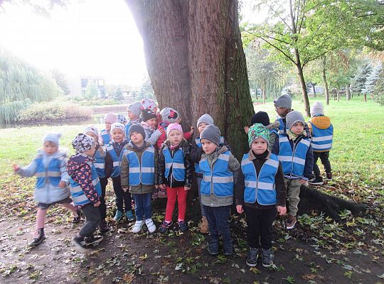 Gr II Jesienny spacer do parku