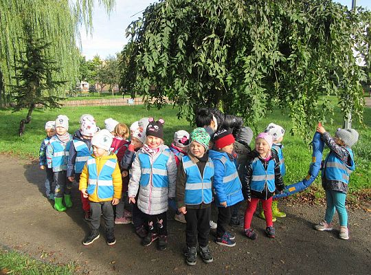 Gr II Jesienny spacer do parku