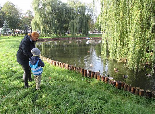 Gr II Jesienny spacer do parku