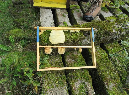 Wycieczka do Drętowa