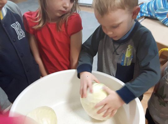 GR III Kisimy kapustę