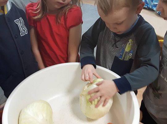 GR III Kisimy kapustę