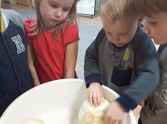 GR III Kisimy kapustę