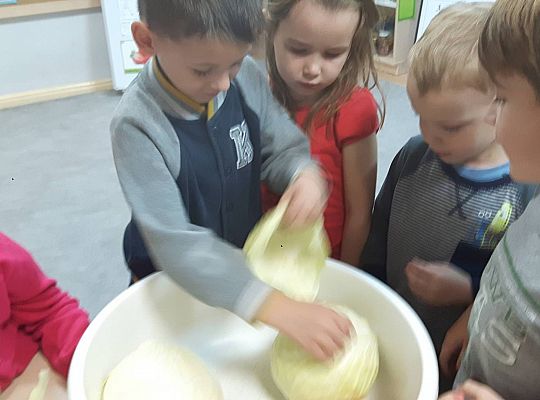 GR III Kisimy kapustę