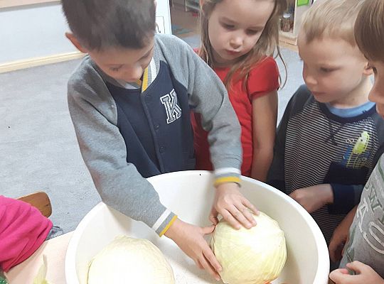 GR III Kisimy kapustę