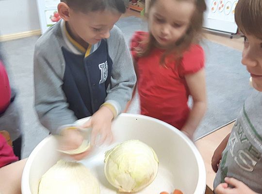 GR III Kisimy kapustę