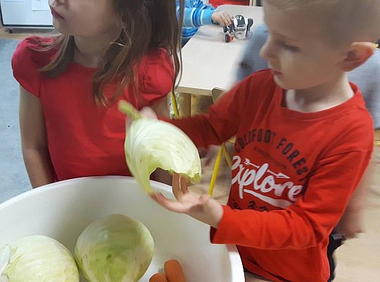 GR III Kisimy kapustę