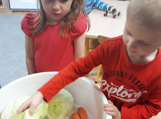 GR III Kisimy kapustę