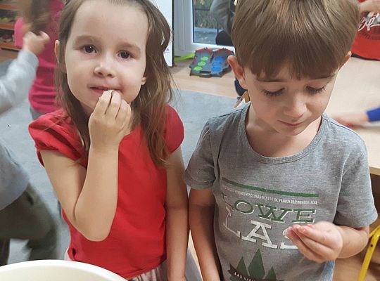 GR III Kisimy kapustę