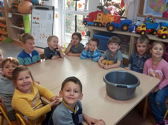 GR III Kisimy kapustę