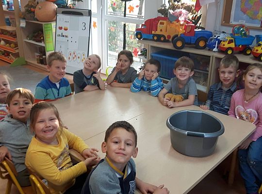 GR III Kisimy kapustę