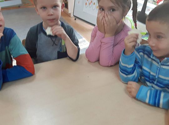 GR III Kisimy kapustę