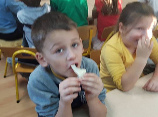 GR III Kisimy kapustę