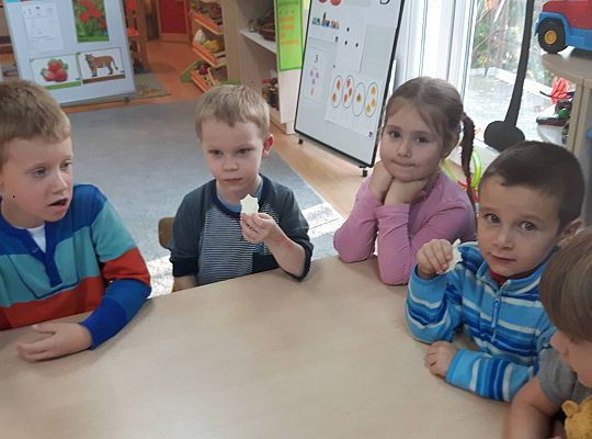 GR III Kisimy kapustę