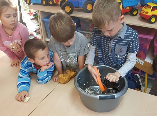 GR III Kisimy kapustę