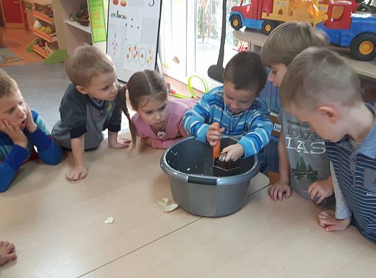 GR III Kisimy kapustę