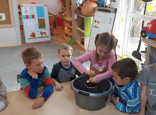 GR III Kisimy kapustę