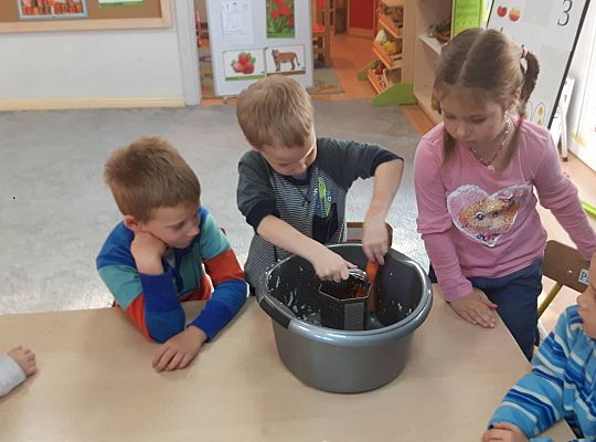 GR III Kisimy kapustę