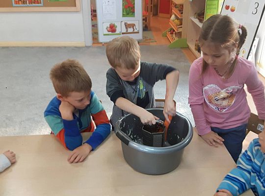 GR III Kisimy kapustę