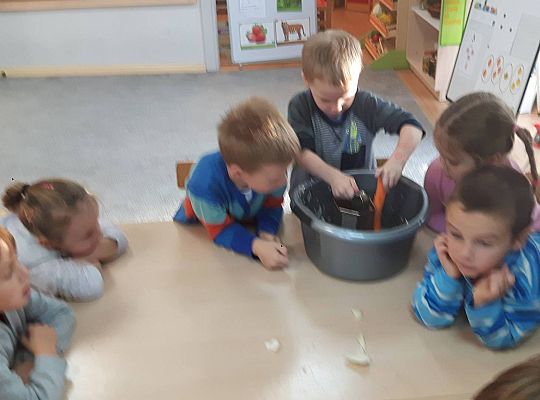 GR III Kisimy kapustę