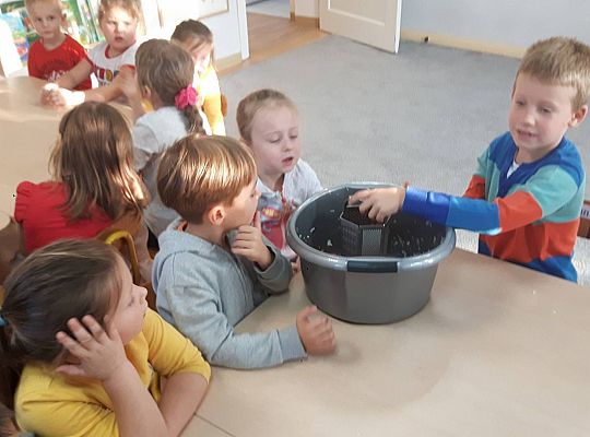 GR III Kisimy kapustę