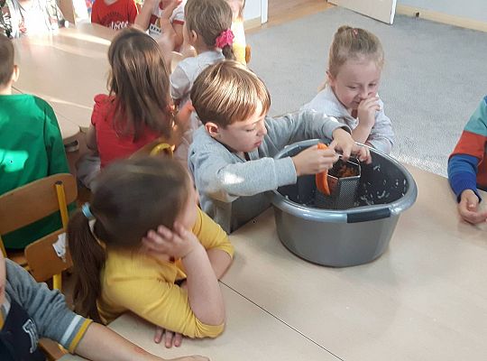 GR III Kisimy kapustę