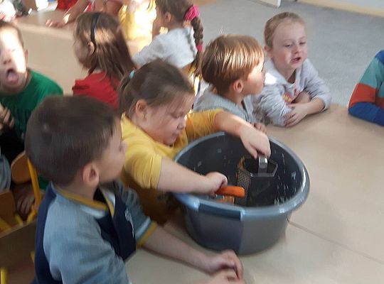 GR III Kisimy kapustę