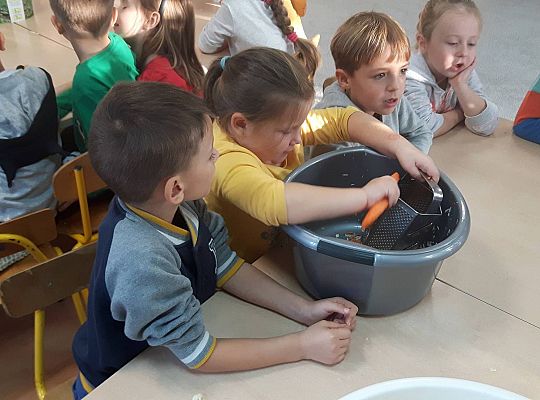 GR III Kisimy kapustę