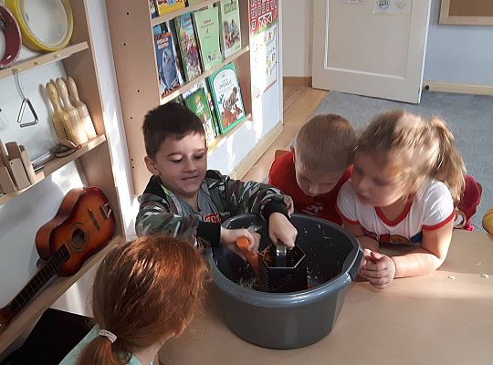 GR III Kisimy kapustę