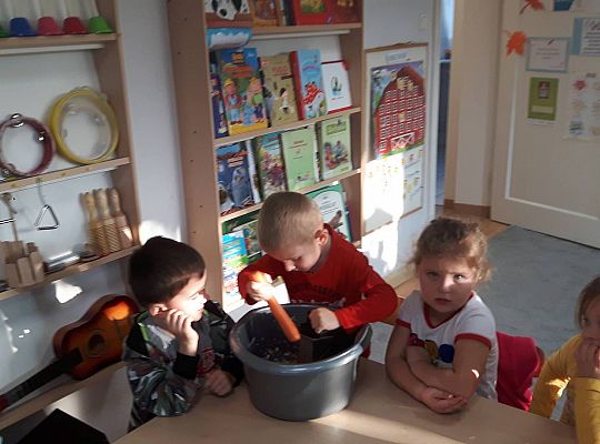 GR III Kisimy kapustę