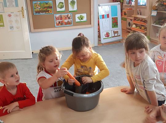 GR III Kisimy kapustę