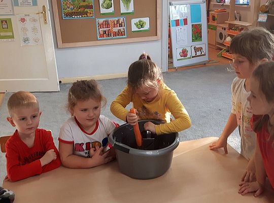 GR III Kisimy kapustę