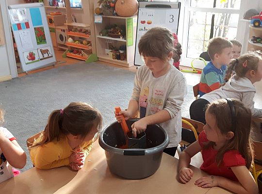 GR III Kisimy kapustę