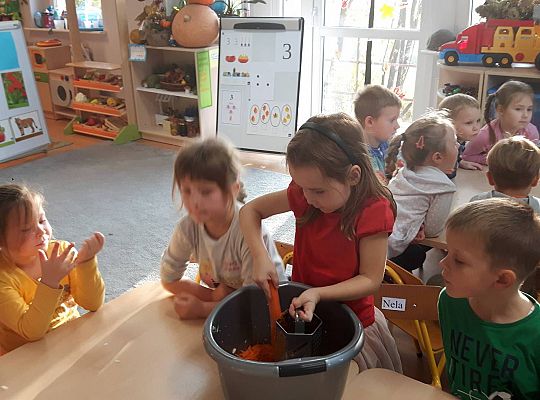 GR III Kisimy kapustę