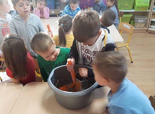 GR III Kisimy kapustę