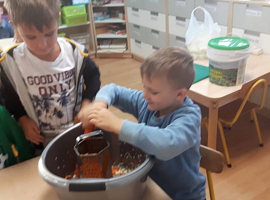 GR III Kisimy kapustę