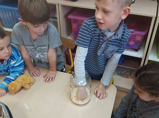 GR III Kisimy kapustę