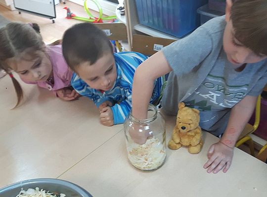 GR III Kisimy kapustę