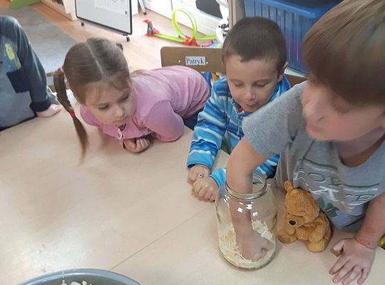 GR III Kisimy kapustę