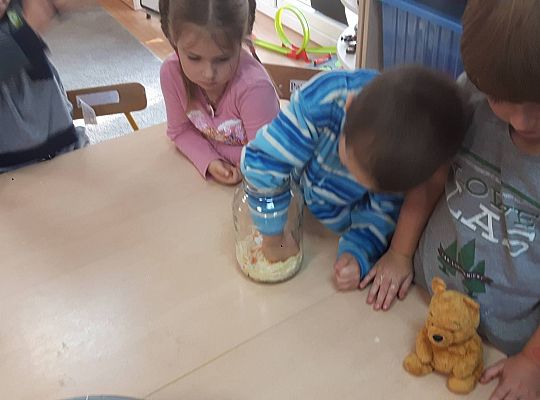 GR III Kisimy kapustę