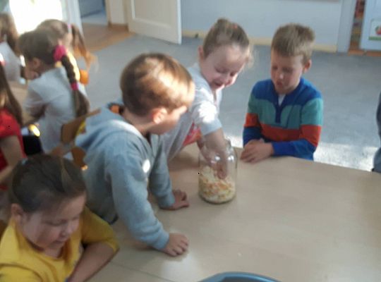 GR III Kisimy kapustę