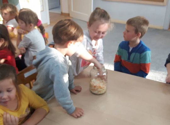 GR III Kisimy kapustę