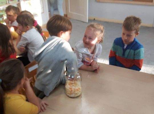 GR III Kisimy kapustę