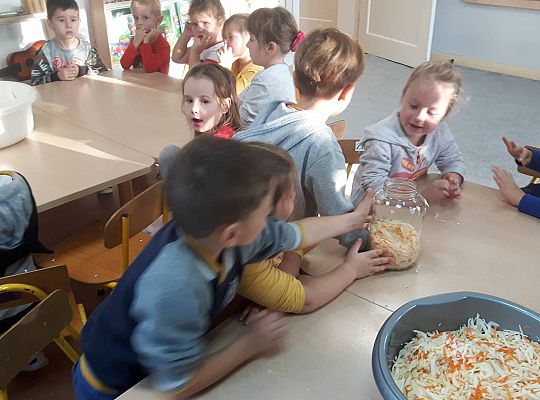 GR III Kisimy kapustę