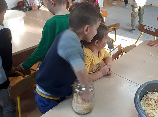 GR III Kisimy kapustę