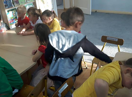 GR III Kisimy kapustę